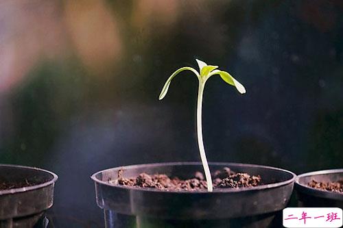 2019朋友圈经典说说大全 人生路上这些道理你必须懂得2