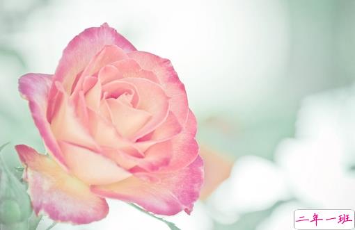 高冷超拽个性说说大全 抖音酷到没朋友的说说2