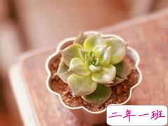 2019朋友圈经典说说大全 人生路上这些道理你必须懂得