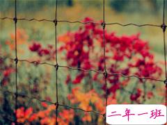 充满阳光的简短句子 鼓励人的励志说说心灵鸡汤合集