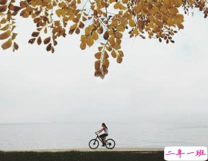 最新元旦个性说说2019要加油 拼搏道路上经典的话语1