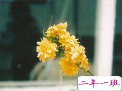 发微信朋友圈的好句子大全 别致一点的朋友圈说说有个性