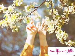 2019年第一天早上微信说说大全 2019年第一条早安说说致自己