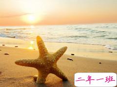 2019最流行的个性说说合集 独一无二的微信说说经典版