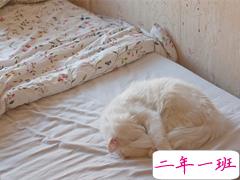 qq个性说说大全好听的 独一无二的个性说说2019最新