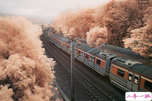 简单一句话经典说说人生哲言 前进的脚步从未停止的人生经典说说1