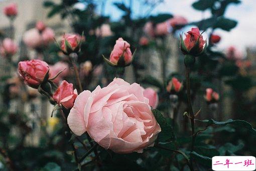 女生霸气说说很犀利毒舌 一句话朋友圈霸气说说1