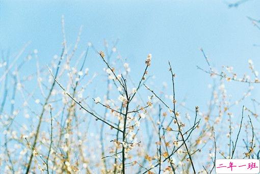 女生霸气说说很犀利毒舌 一句话朋友圈霸气说说2