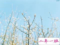 女生霸气说说很犀利毒舌 一句话朋友圈霸气说说