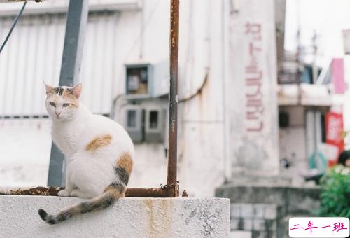 天气冷温暖人心的说说精选 下雪天的治愈系暖心说说一句话2