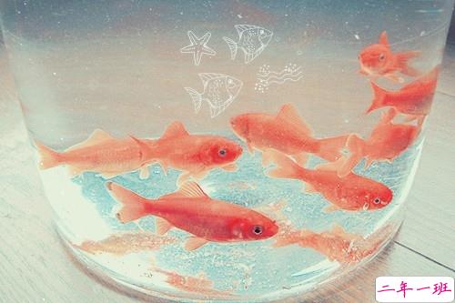 告别2018迎接2019的个性说说大全 2019最新充满希望的励志说说1