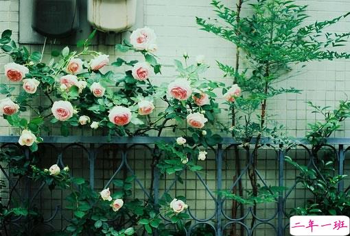 告别2018迎接2019的个性说说大全 2019最新充满希望的励志说说2