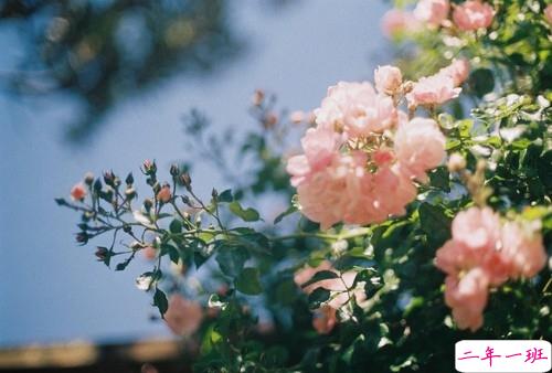 简单美好的个性说说超级暖心 2019请多指教1