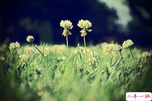 简单美好的个性说说超级暖心 2019请多指教2