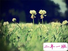 简单美好的个性说说超级暖心 2019请多指教