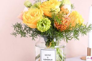 2018十二月朋友圈唯美说说 全新的再见11月你好12月微信说说