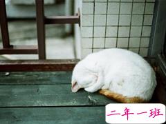 男生霸气说说适合比较拽的人 十分独特的超霸气说说大全