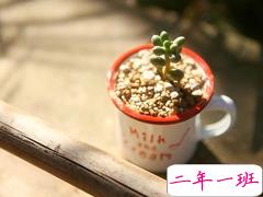 很有名的思想家们关于人生的一些建议 特别精辟的人生格言经典说说