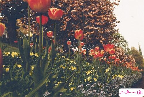 晚安心语正能量简简单单一句话 晚上睡觉前朋友圈来一句鸡汤2