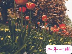 晚安心语正能量简简单单一句话 晚上睡觉前朋友圈来一句鸡汤