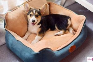 光棍节一个人过的霸气微信说说 双11来自单身狗的怒吼