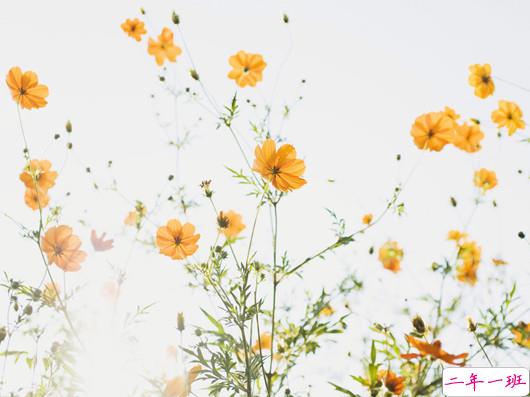 生活说说很现实的说说2018心情短语 穿透人心的说说简短一句话2