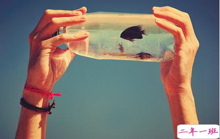 艾特自己的自嘲句子说说文字控 有关艾特自己的个性说说2