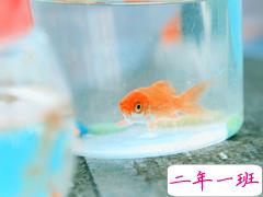 艾特自己的自嘲句子说说文字控 有关艾特自己的个性说说