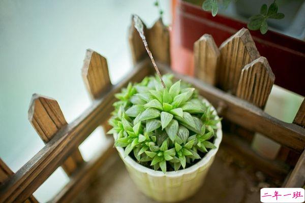 网易云音乐热评语录短语精选2019 我劝你早点喜欢我免得浪费时间1