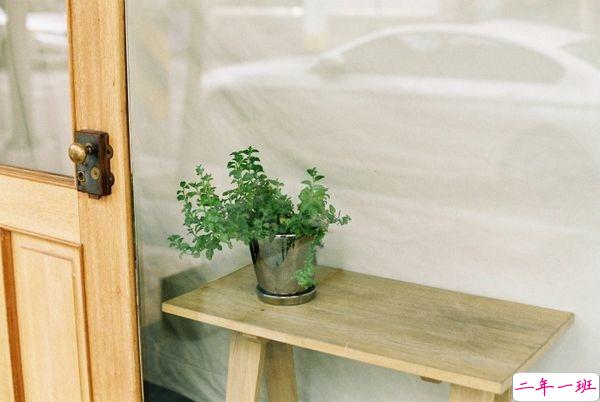 网易云音乐热评语录短语精选2019 我劝你早点喜欢我免得浪费时间2