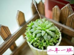 网易云音乐热评语录短语精选2019 我劝你早点喜欢我免得浪费时间