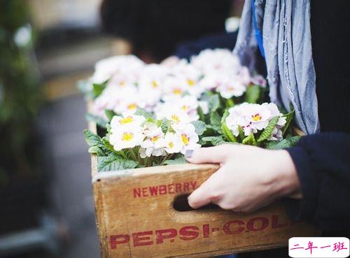 很经典唯美的说说适合摘抄 一句话写满了少女心事的说说2