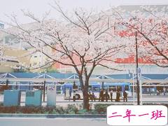 那些打动我们内心的治愈系歌词 温暖人心的经典说说