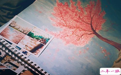 有点霸气的超拽个性说说 适合00后发空间的个性说说2