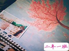 有点霸气的超拽个性说说 适合00后发空间的个性说说