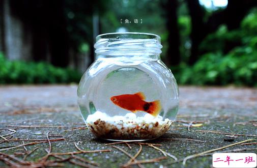 文字控喜欢的关于生活和爱情的文艺说说 唯美的文艺小清新说说2