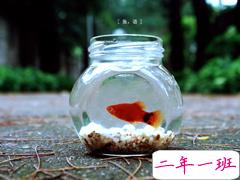 文字控喜欢的关于生活和爱情的文艺说说 唯美的文艺小清新说说