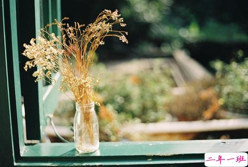 很有哲理的英文个性说说带翻译 有道理的精辟英文说说2