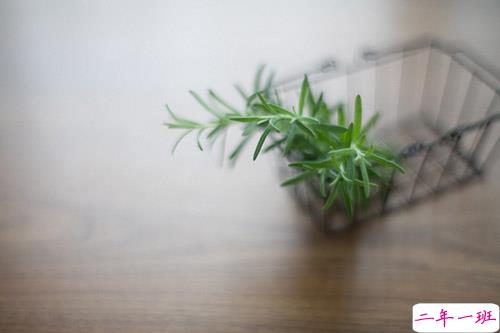 文字控可以发的唯美又文艺的说说  只是春光如此却不得见你1