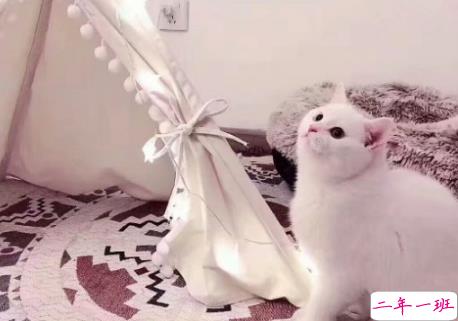 2018最近流行的个性说说简短 哥哥我能踩在你的aj上亲你吗1