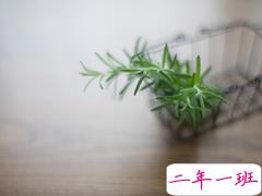 文字控可以发的唯美又文艺的说说 只是春光如此却不得见你