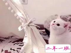 2018最近流行的个性说说简短 哥哥我能踩在你的aj上亲你吗