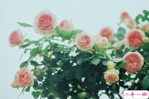 很经典的有哲理的说说 可以发朋友圈的哲理说说1