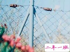 关于生活很励志的哲理说说 适合发朋友圈的说说