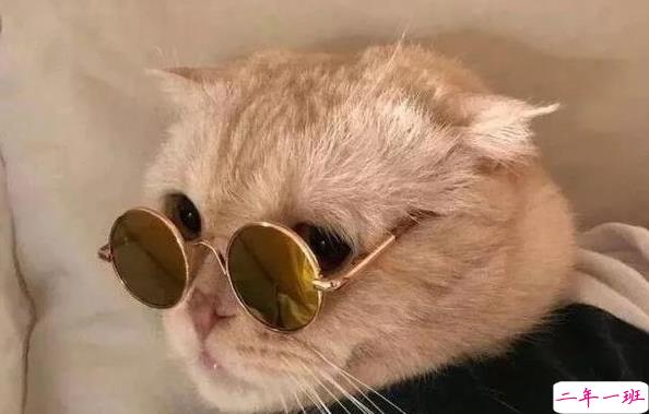 关于人生生活的一句话的短句子说说1