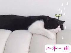 关于人生生活的一句话的短句子说说