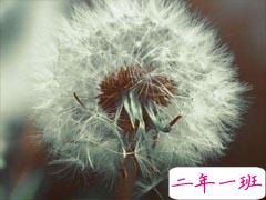 值得记忆的唯美经典说说 恣意便是对自己最大的疼惜