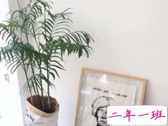 关于生活梦想很现实的心情说说 每一个百毒不侵的人都曾经无可救药过