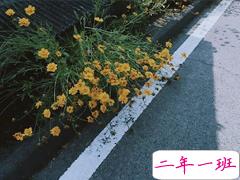 鼓励你前进的超励志说说 既然认准了一条路就不要去打听要走多久