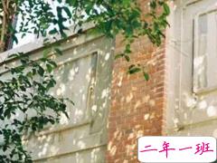 有个性的超励志的正能量说说 只有同样经历过无边黑暗的人才有资格说我理解你